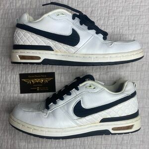 Paul Rodriguez Zoom Air Elite (2005)

Size 9.5